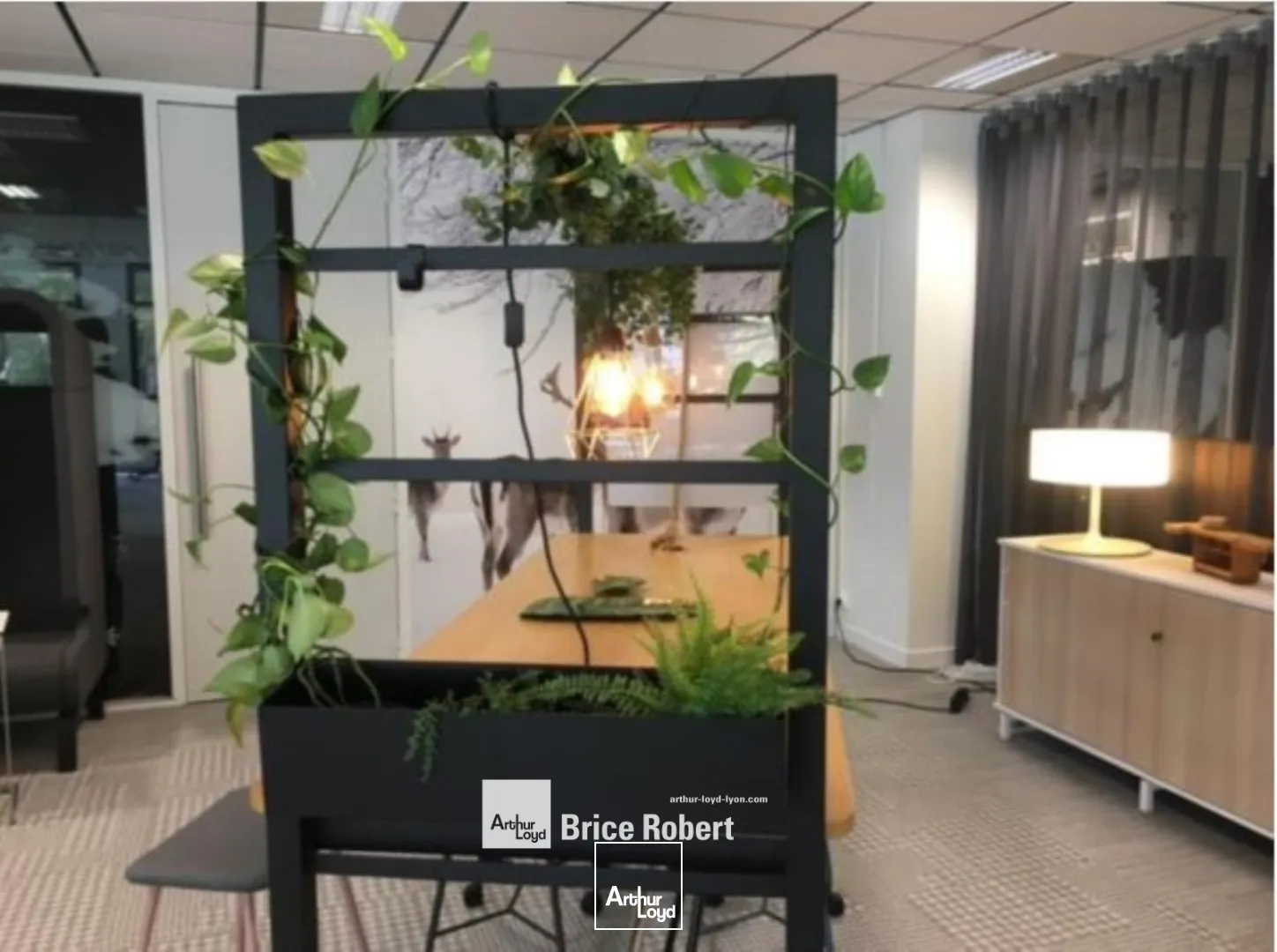 A louer - LE CRAB - Bureaux spacieux - Lyon 7ème