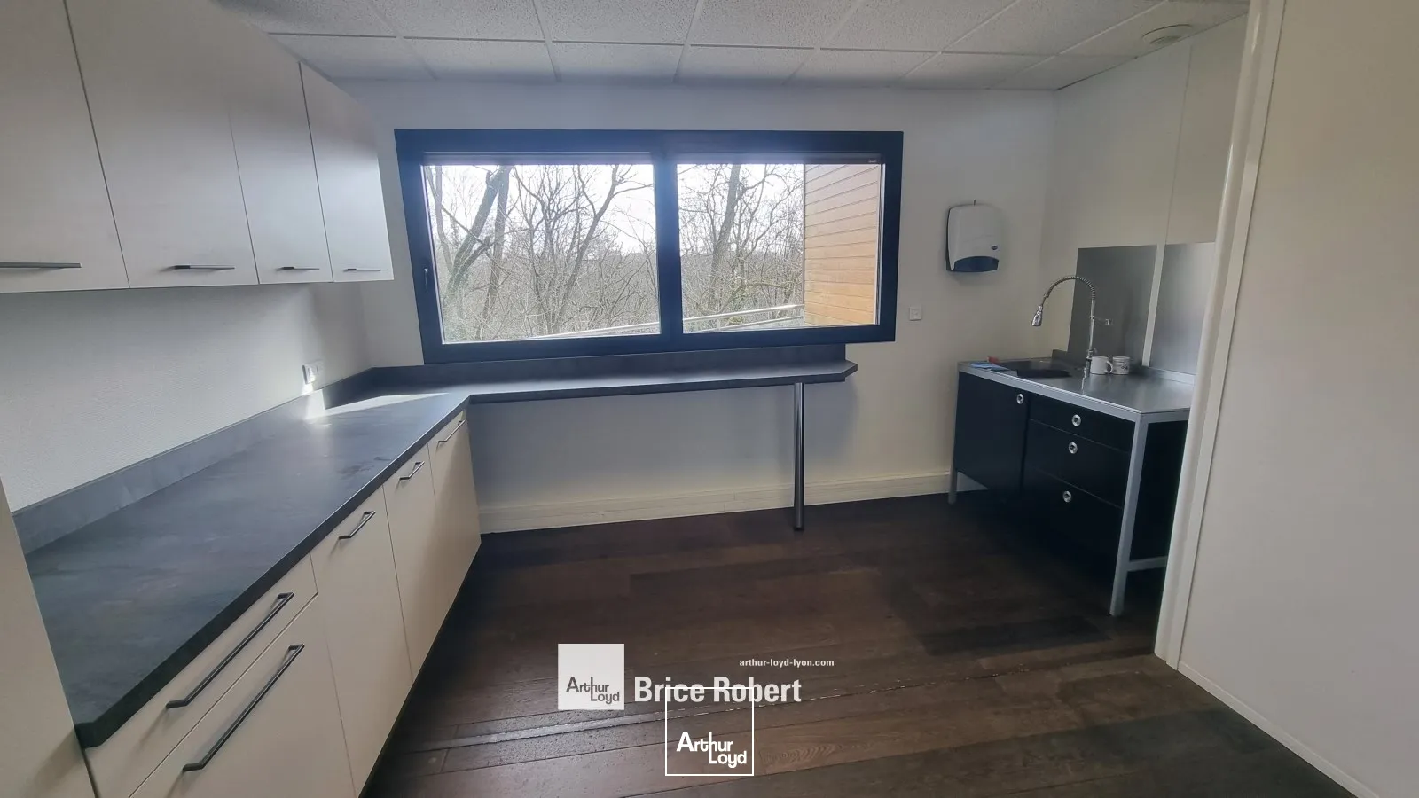 A vendre - LE PANALYS - Bureaux sur la Techlid - Dardilly