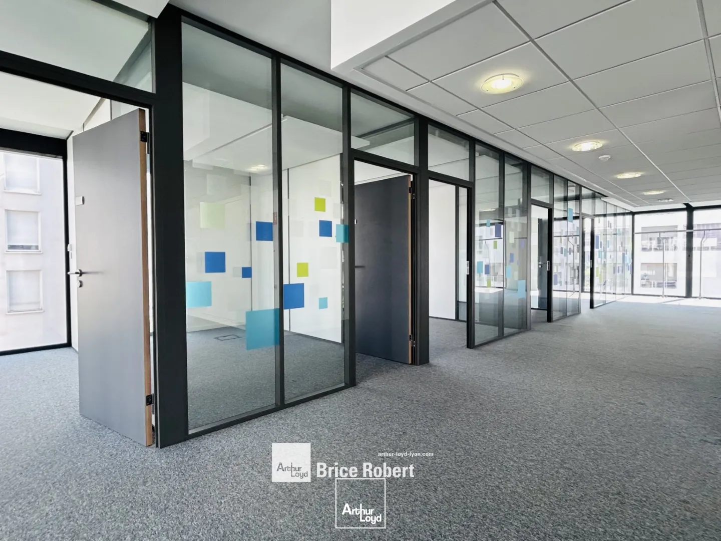 A louer - VERT ANIS - Bureaux lumineux - Vaulx En Velin