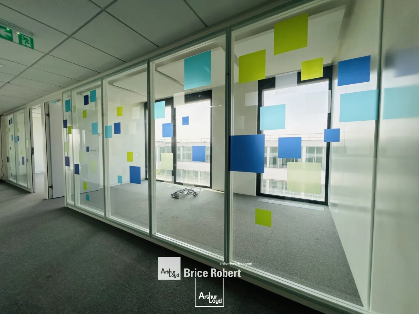 A louer - VERT ANIS - Bureaux lumineux - Vaulx En Velin