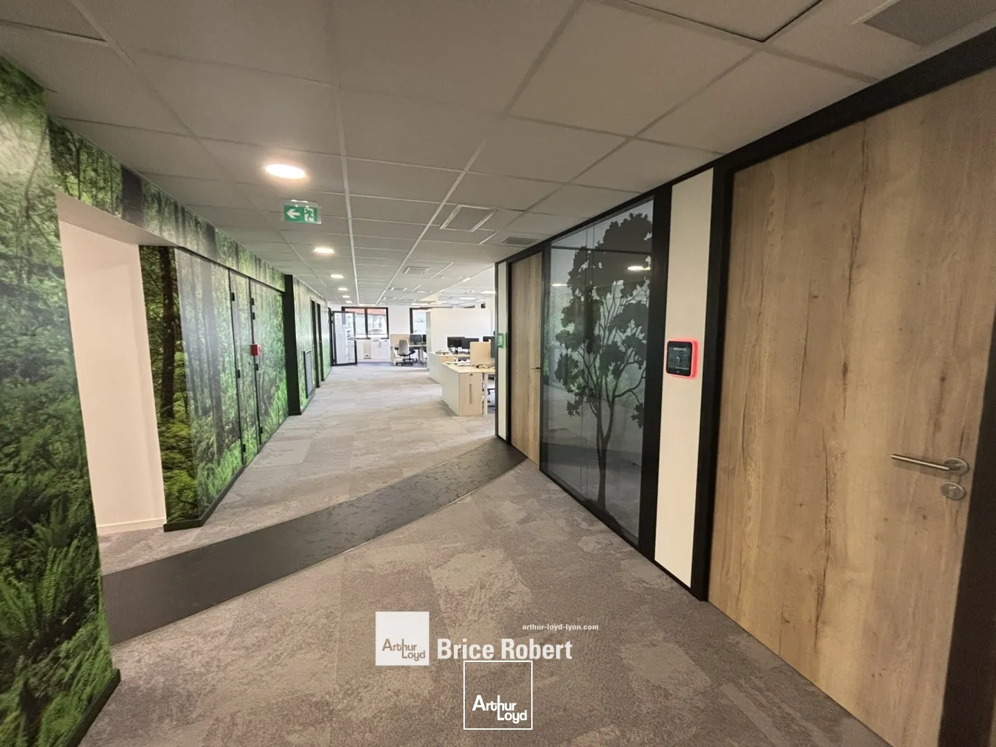 A louer - LE 288 - Bureaux lumineux et modernes - Lyon 3ème 