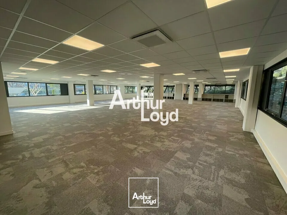 Bureaux à louer de 428 m² bâtiment rénové - Sophia Antipolis