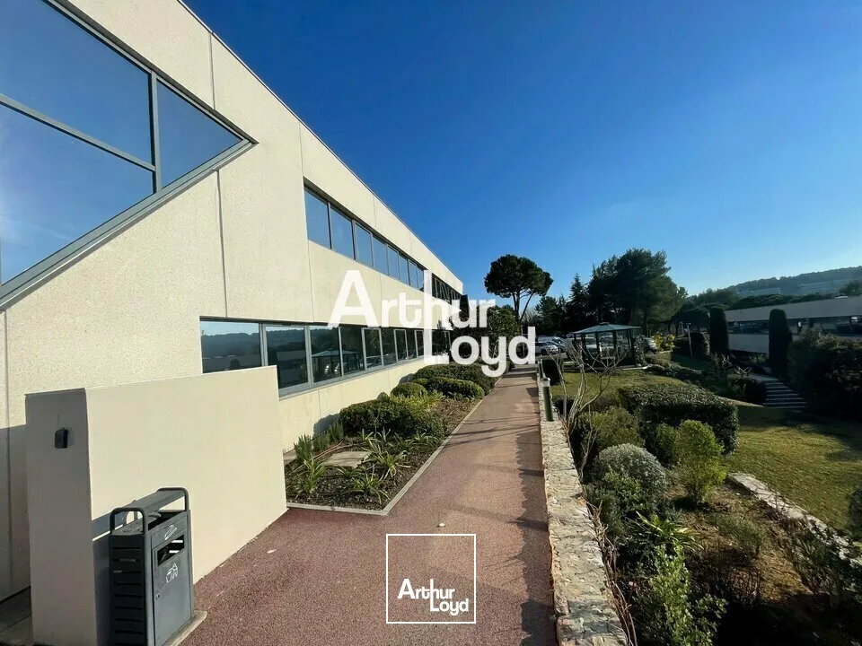 Bureaux à louer de 428 m² bâtiment rénové - Sophia Antipolis