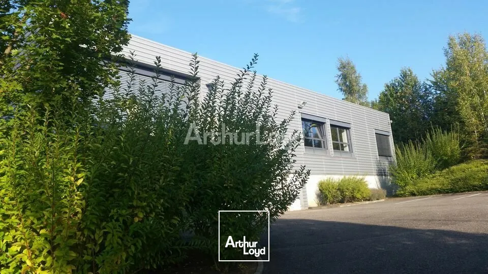 BUREAUX à LOUER de 928 m²