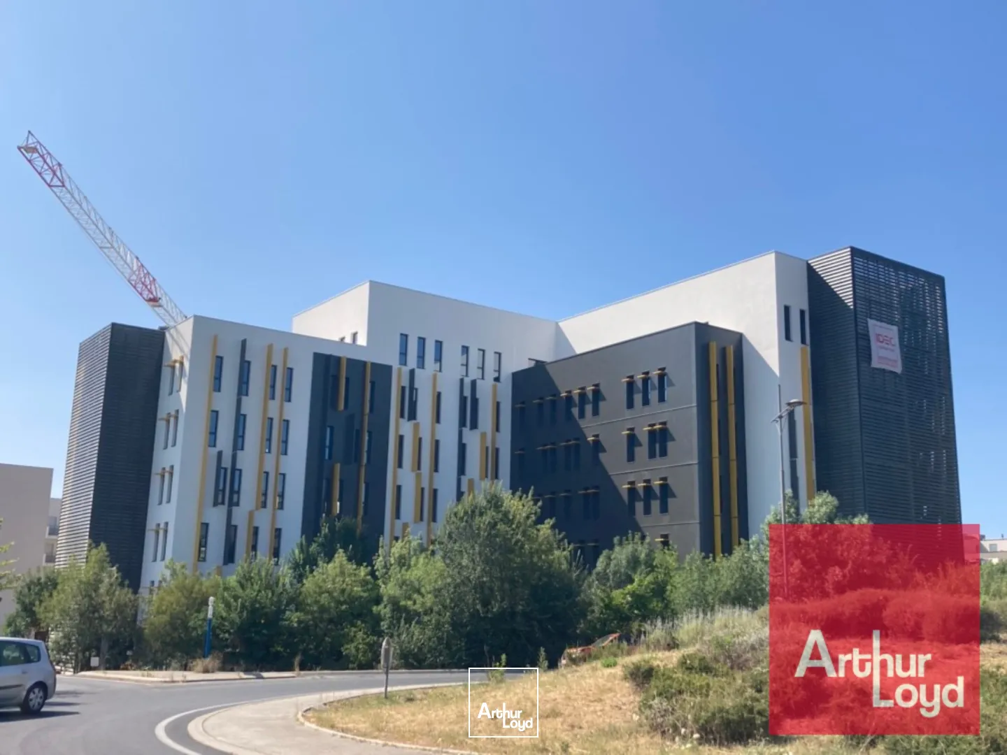 BUREAUX A LOUER - MONTPELLIER PIERRES VIVES