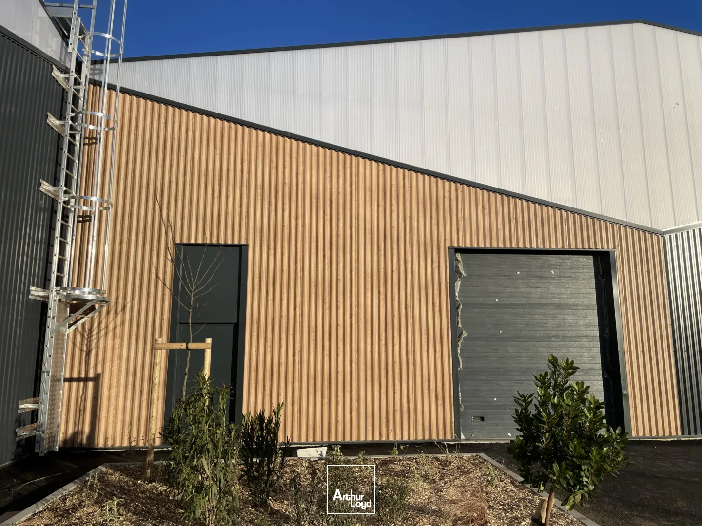 Local d'activité neuf à louer - Parc d'activité du Capiscol à Béziers