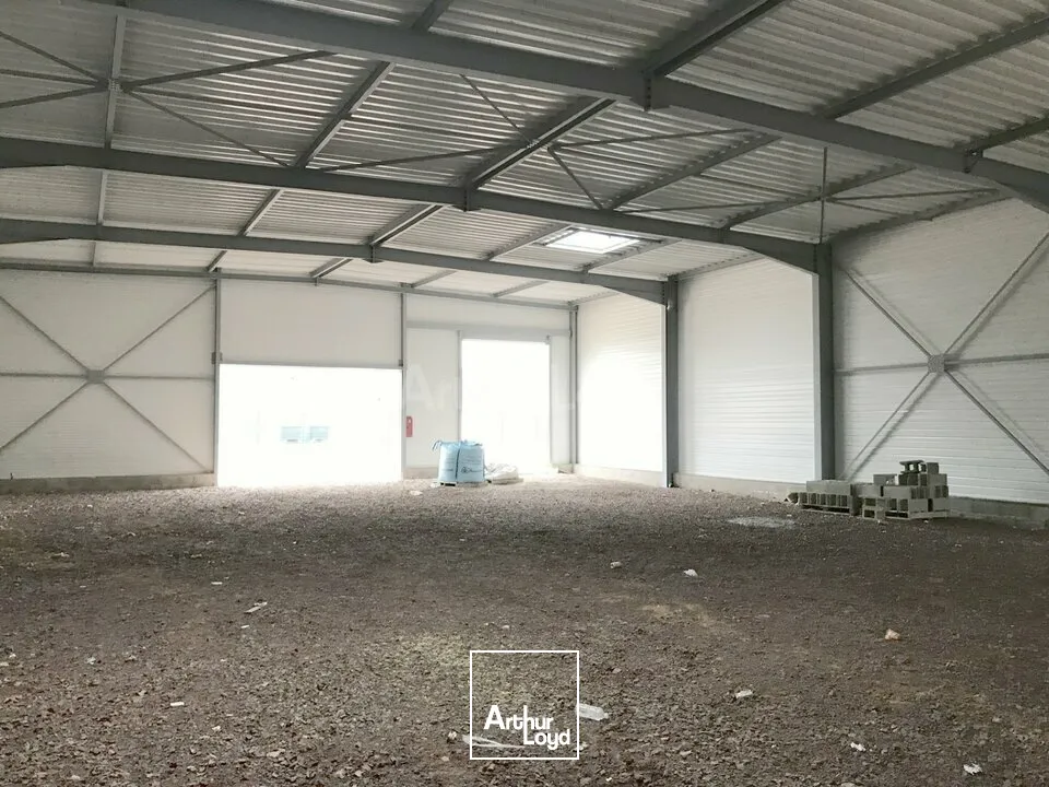 LOCAL COMMERCIAL à LOUER de 441 m²