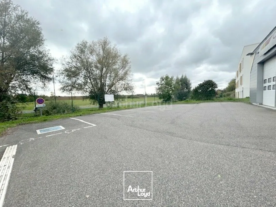 LOCAL COMMERCIAL à LOUER de 447 m²