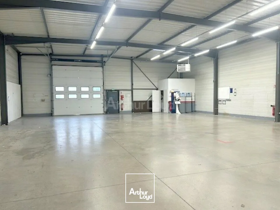 LOCAL COMMERCIAL à LOUER de 447 m²