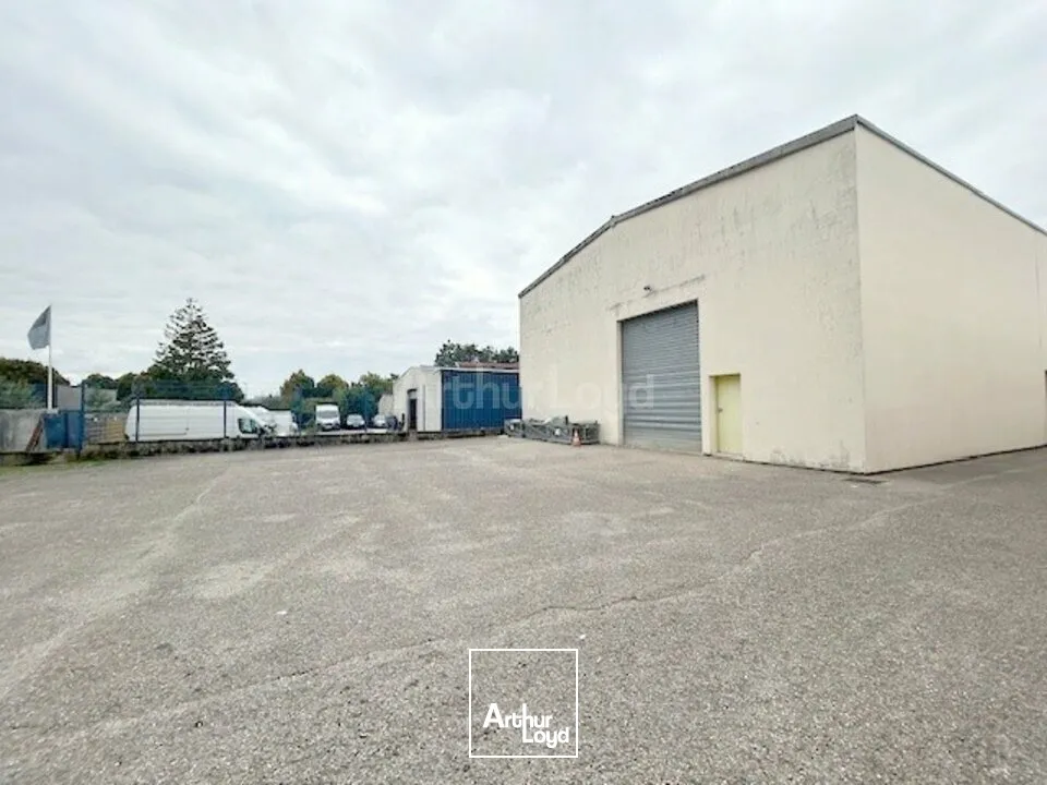 LOCAL COMMERCIAL à LOUER de 590 m²