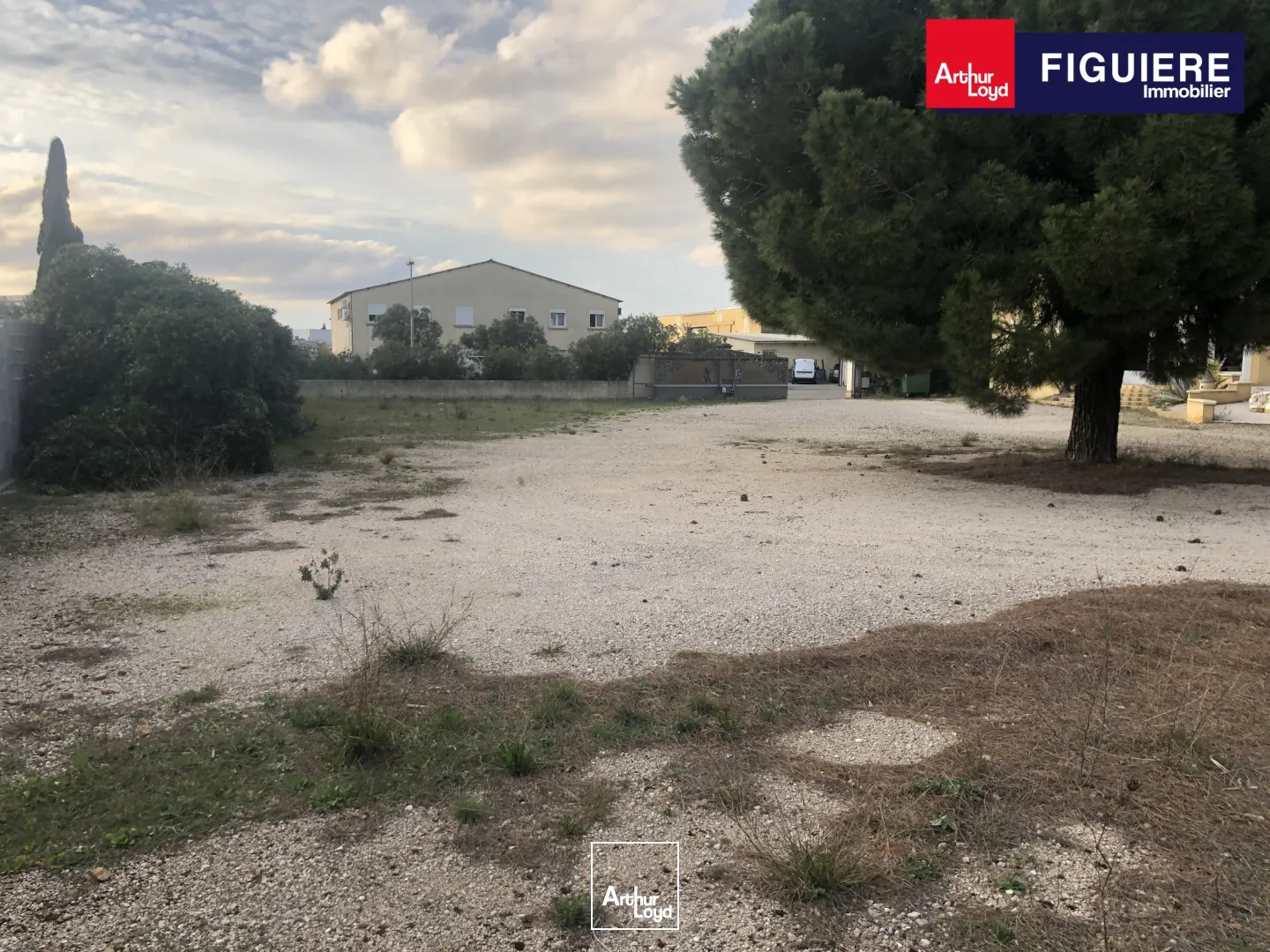 BATIMENT A VENDRE ZONE DU TUBE