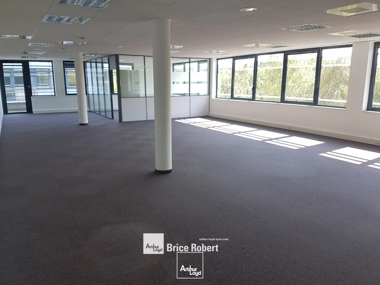 A louer - EUROPARC- Bureaux au sein d'un complexe tertiaire de dernière génération - Saint Priest