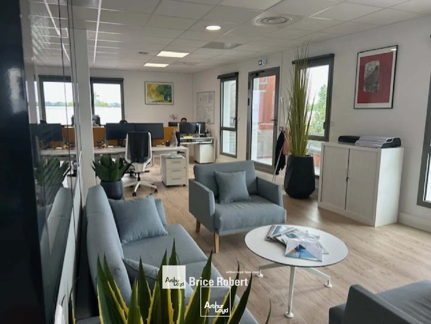 A vendre - Bureaux lumineux - Chassieu