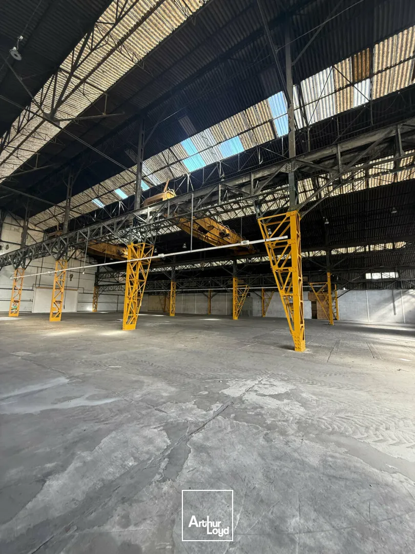 LOCAL D'ACTIVITE - ENTREPOT location à BRIVE LA GAILLARDE 19100