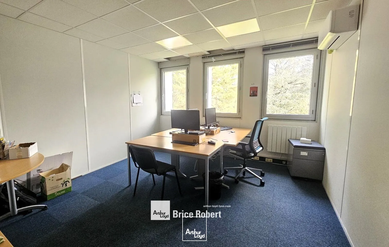 A louer - NORLY 1 - Bureaux en sous location - Ecully