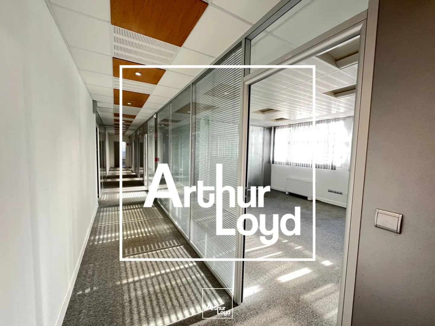 A LOUER - BUREAUX CASTELNAU LE LEZ - GRAND PARKING