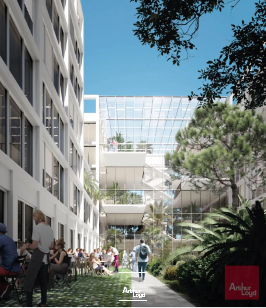 BUREAUX NEUFS AVEC SERVICES ET PARKINGS A LOUER - MONTPELLIER CAMBACERES 