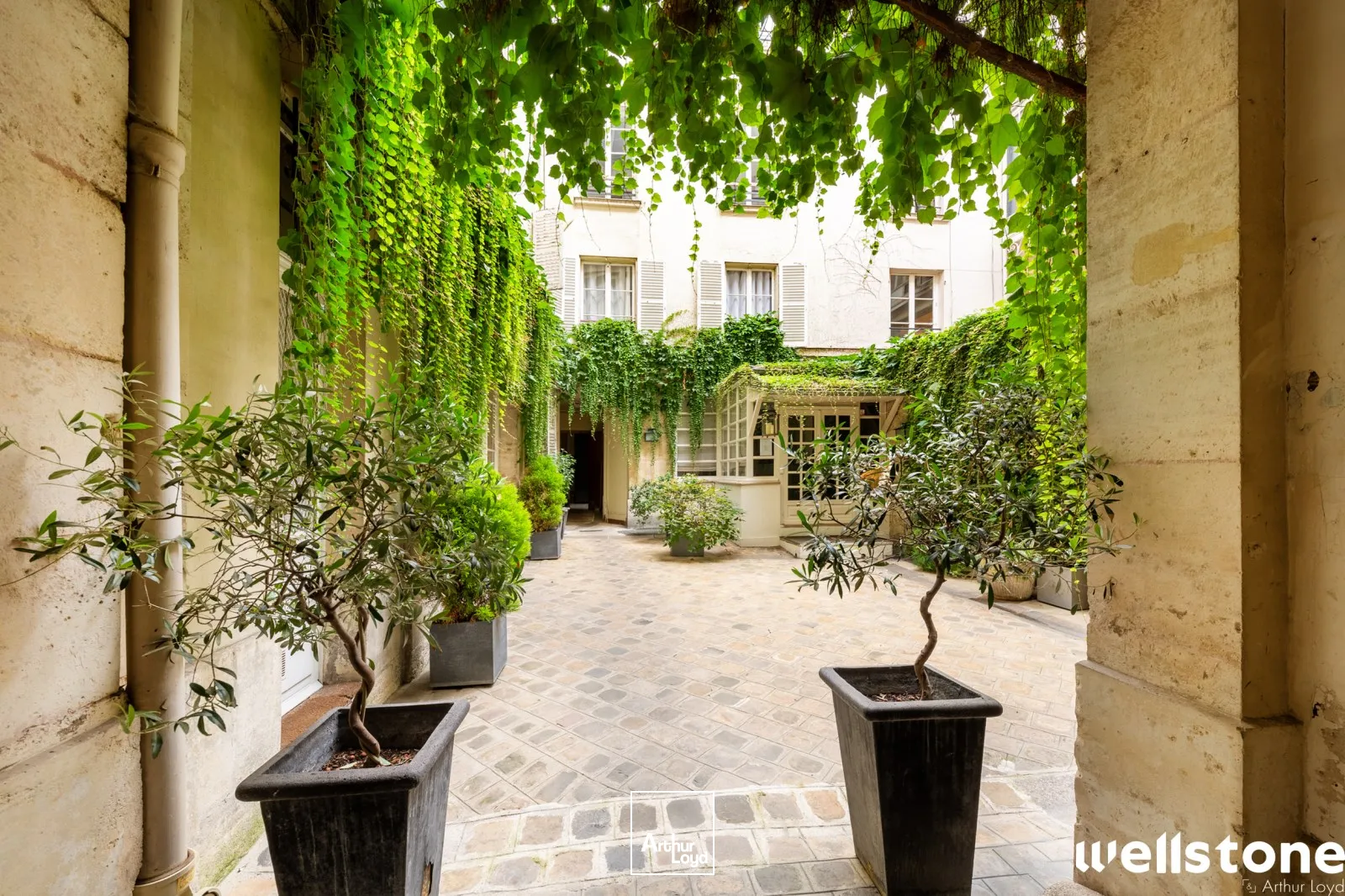 Bureaux - Location - PARIS - 75001 - 101.21-101.21 - 7567886