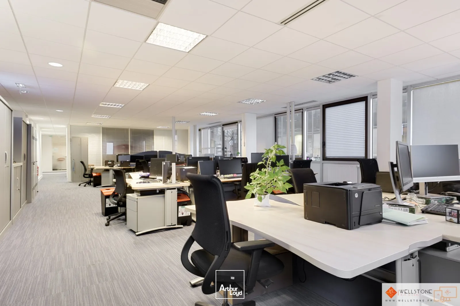 Bureaux - Location - PARIS - 75009 - 252-1388 - 7567955
