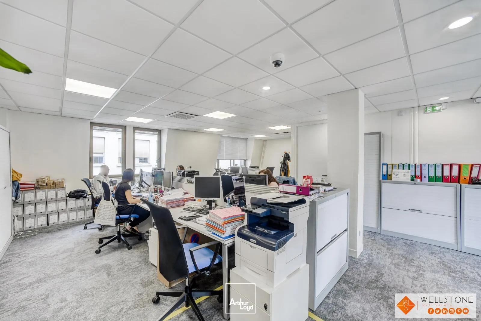 Bureaux avec terrasses!