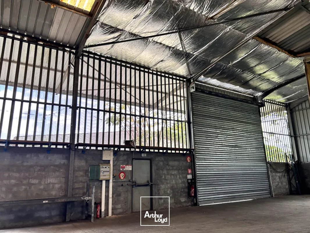 A LOUER Entrepôt / local industriel Matoury 440 m2
