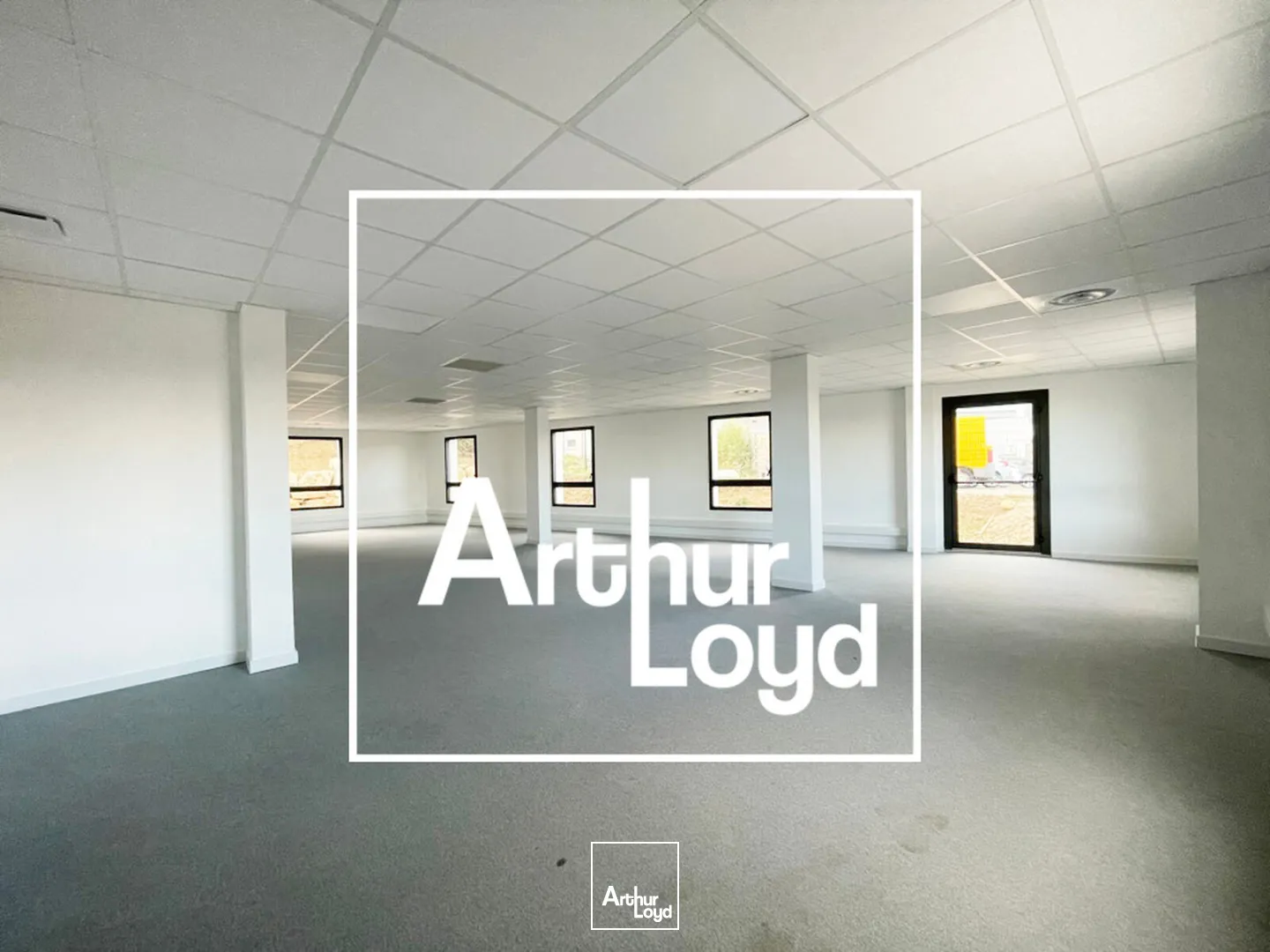 LOCAUX D'ACTIVITES ET BUREAUX NEUFS A LOUER - GRABELS