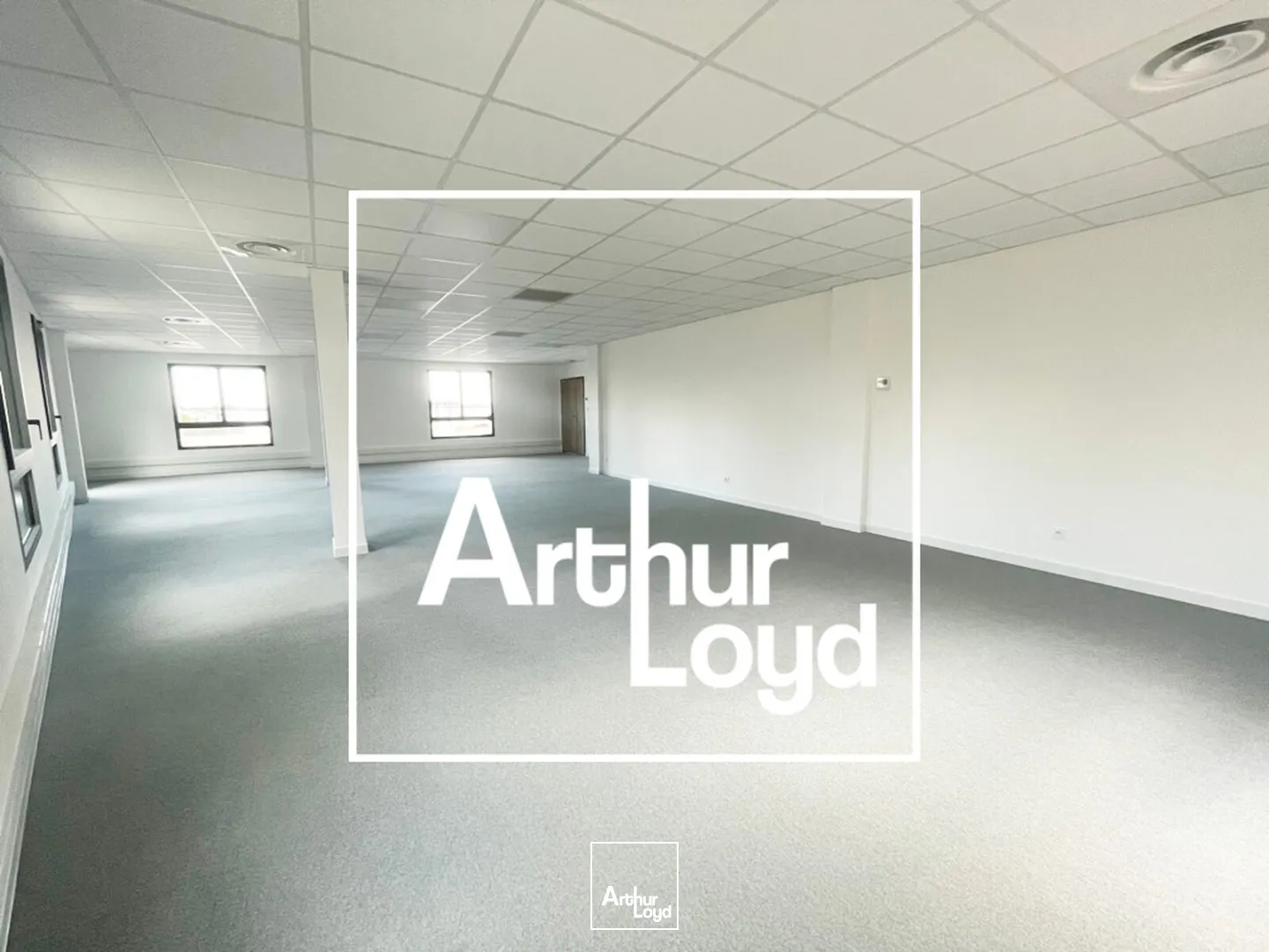 LOCAUX D'ACTIVITES ET BUREAUX NEUFS A LOUER - GRABELS