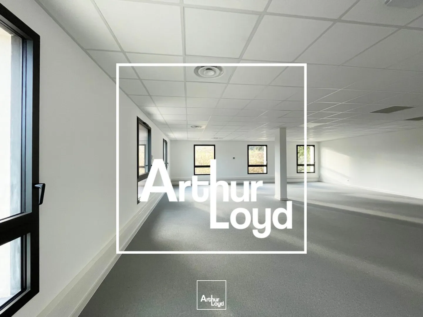 LOCAUX D'ACTIVITES ET BUREAUX NEUFS A LOUER - GRABELS