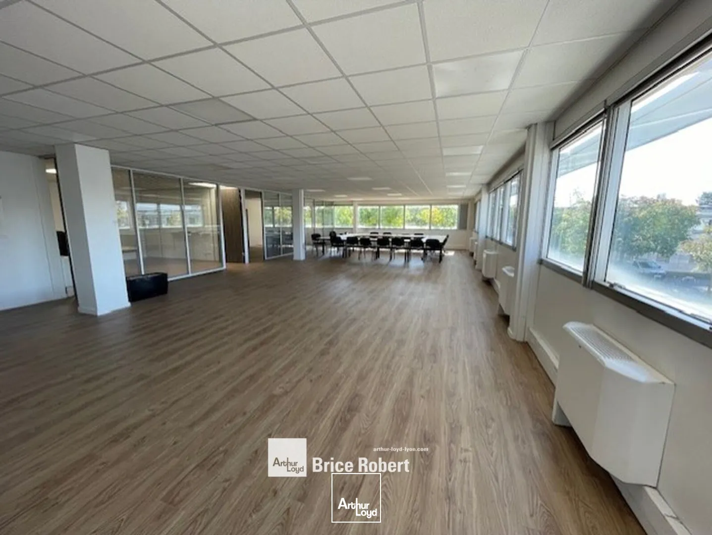 A louer - BRON EUROPARC - Bureaux lumineux - Bron