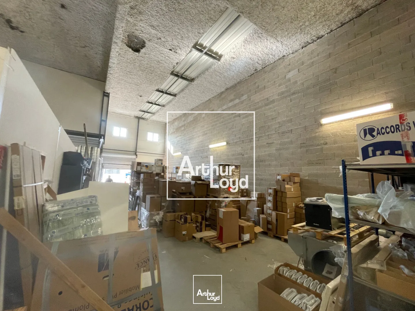 Local d'activité de 239 m² à louer - Vendres - Site professionnel dynamique, accès immédiat A9 et Ouest de Béziers