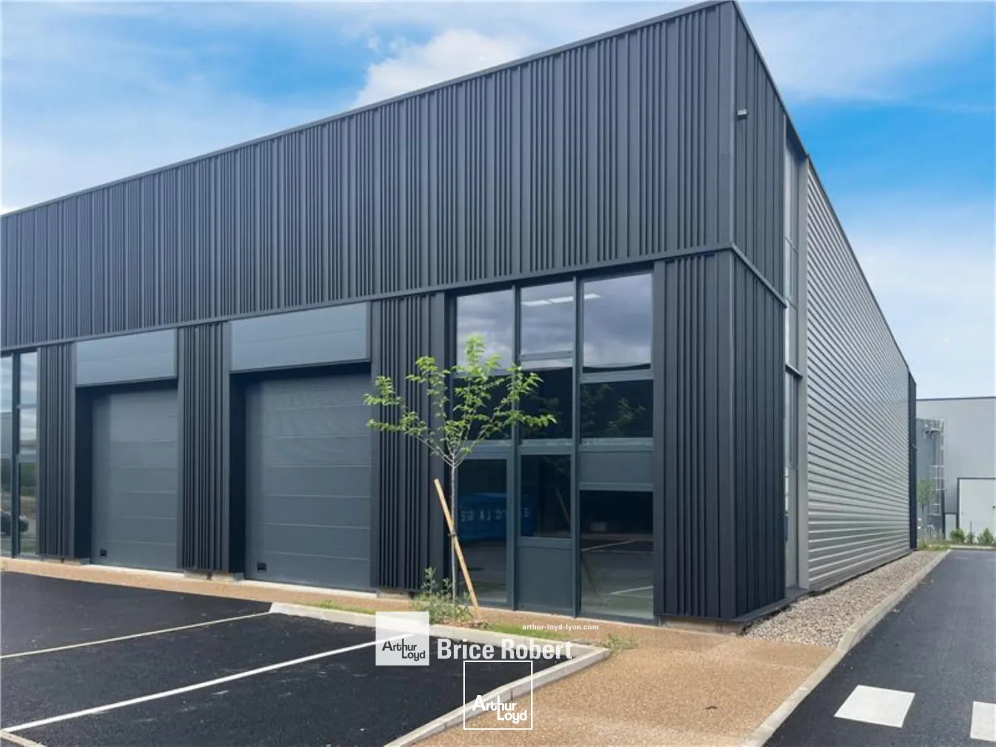 à louer - cellules d'activités - avec parking - Trévoux