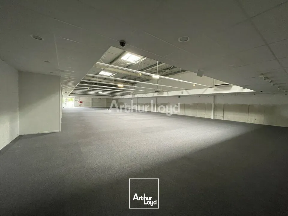 Locaux commerciaux - Location - CHÂLONS-EN-CHAMPAGNE - 51000 - 900-900 - 7572427