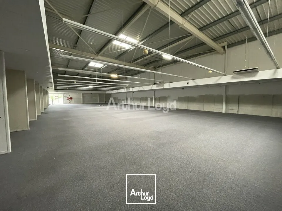 Locaux commerciaux - Location - CHÂLONS-EN-CHAMPAGNE - 51000 - 900-900 - 7572433