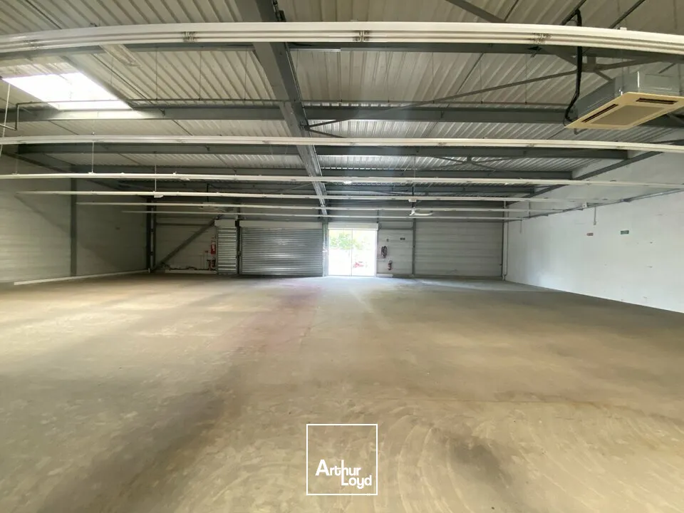 LOCATION LOCAL COMMERCIAL 600 M2 CHATELLERAULT 