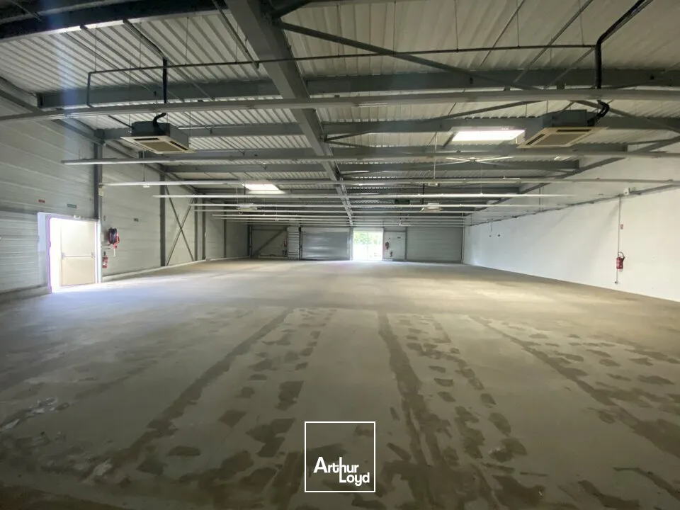 LOCATION LOCAL COMMERCIAL 600 M2 CHATELLERAULT 
