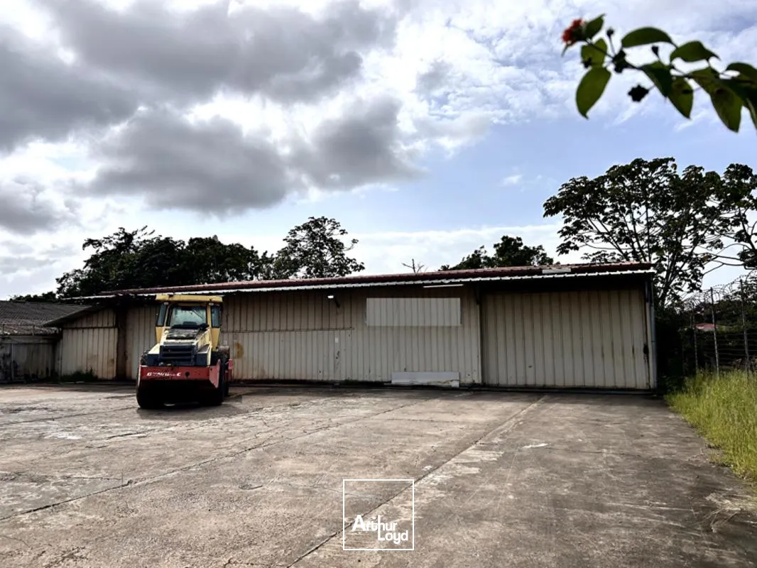 A LOUER Entrepôt / local industriel Matoury 300 m2