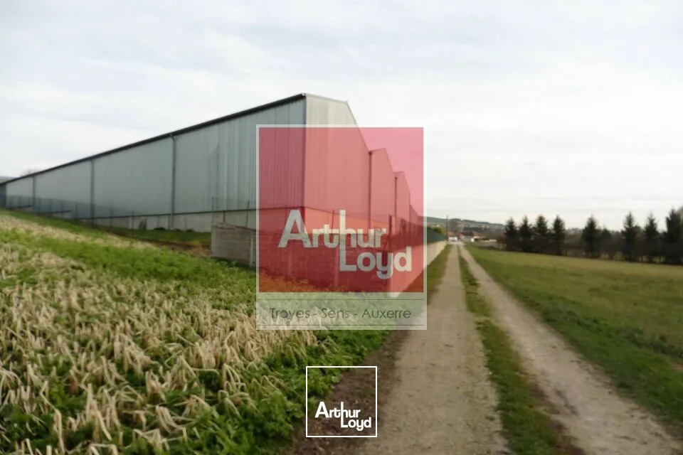 Locaux d'activité & Entrepôts - Vente - VILLACERF - 10600 - 2100-2100 - 7577198