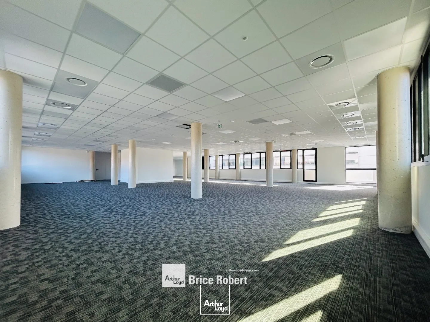 A vendre - 6 OFFICE - Bureaux de standing dans immeuble indépendant de la Techlid - Dardilly