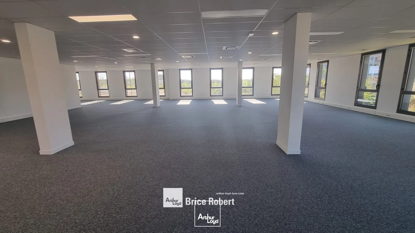 A vendre ou à louer - D-SIDE! DIPTIK 2 - - Bureaux neufs - Décines Charpieu