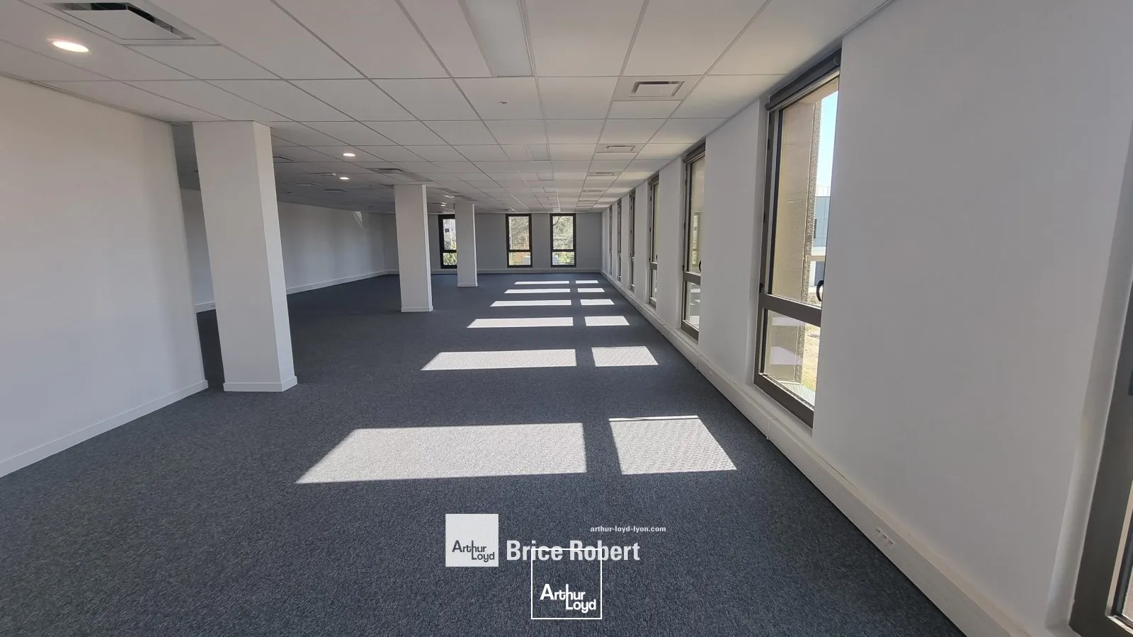 A vendre ou à louer - D-SIDE! DIPTIK 2 - - Bureaux neufs - Décines Charpieu