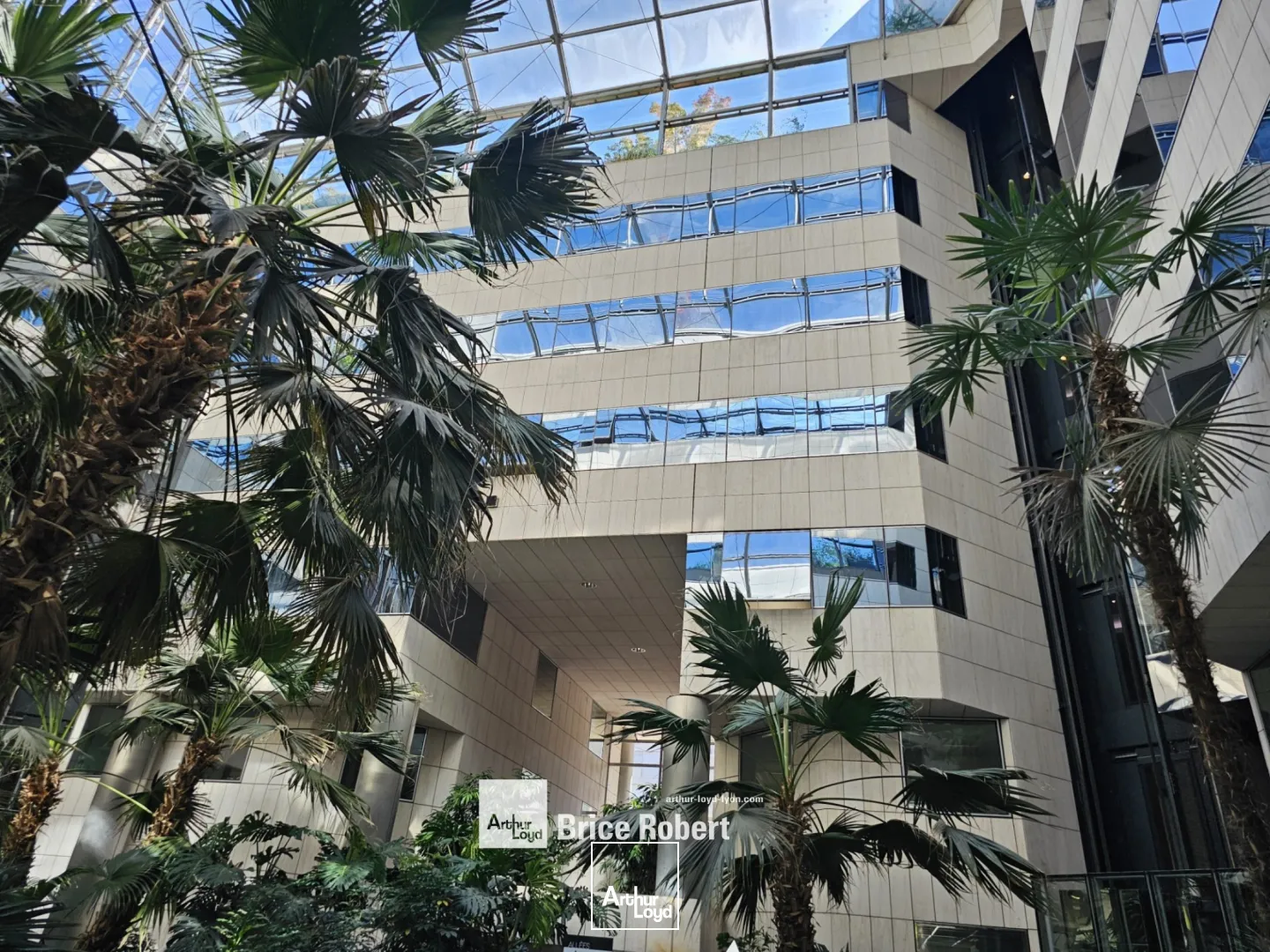 A louer - LE RHONE ALPES - Bureaux spacieux - Lyon 6ème Part-Dieu