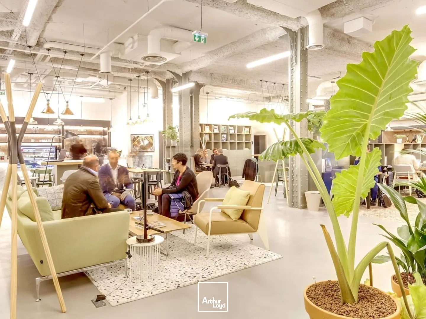 Bureaux - Location - PARIS - 75002 - 4500-4500 - 7580074