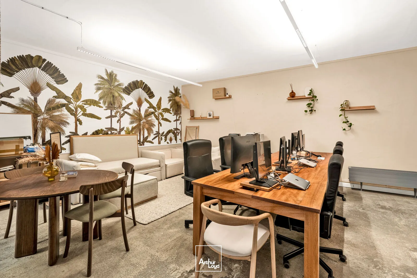 Bureaux A Louer - Sora Charles V