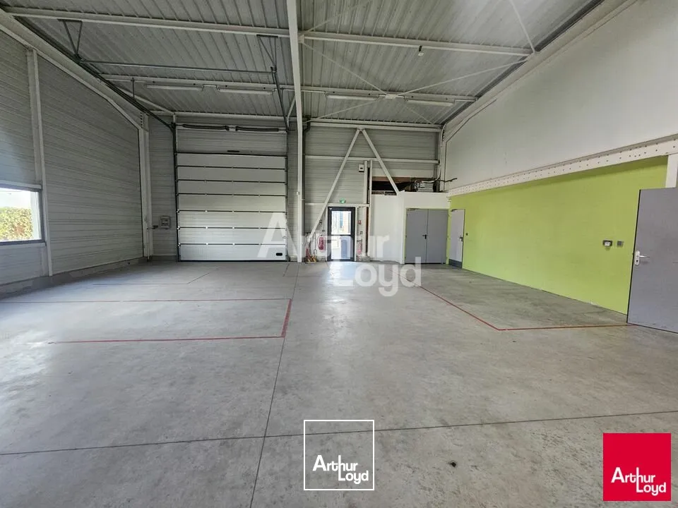 Locaux d'activité & Entrepôts - Location - BEAUCOUZE - 49070 - 512-512 - 7580856