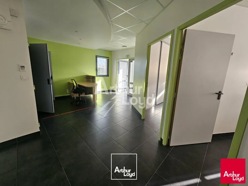 Locaux d'activité & Entrepôts - Location - BEAUCOUZE - 49070 - 512-512 - 7580857