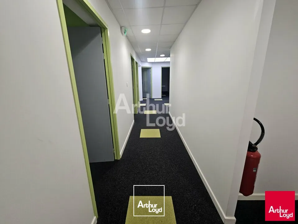 Locaux d'activité & Entrepôts - Location - BEAUCOUZE - 49070 - 512-512 - 7580858