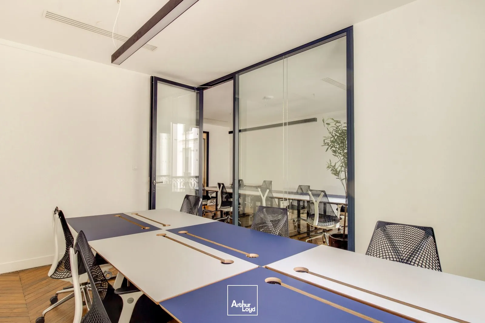 Bureaux - Location - PARIS - 75008 - 16-1560 - 7581119
