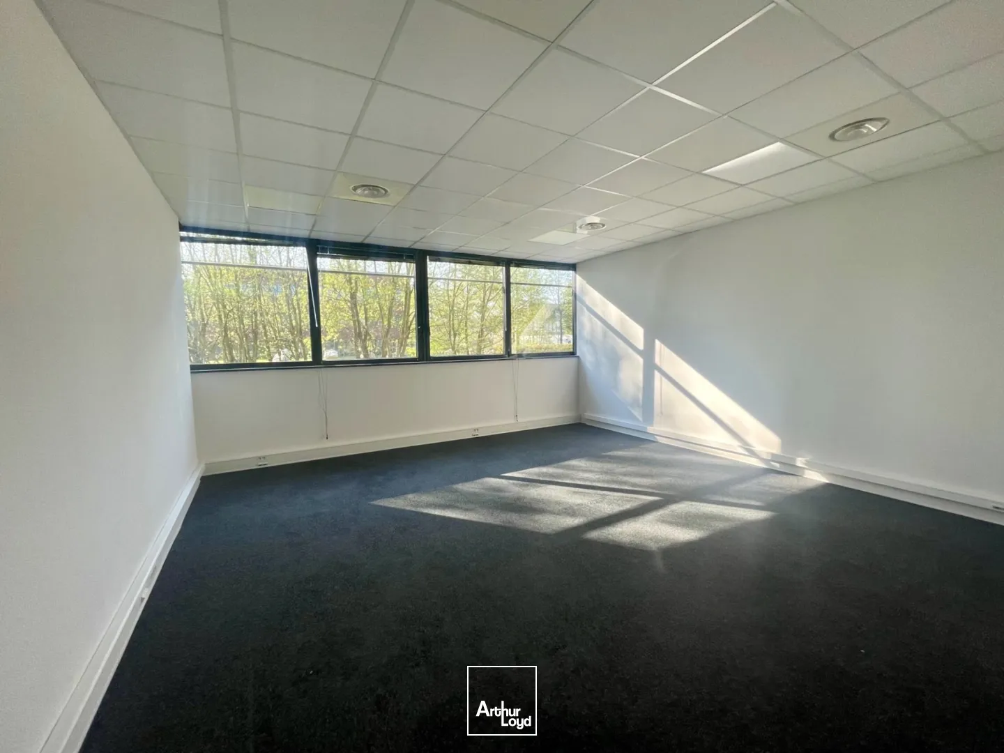 Bureaux - Location - VILLENEUVE D'ASCQ - 59650 - 26-2397 - 7581569