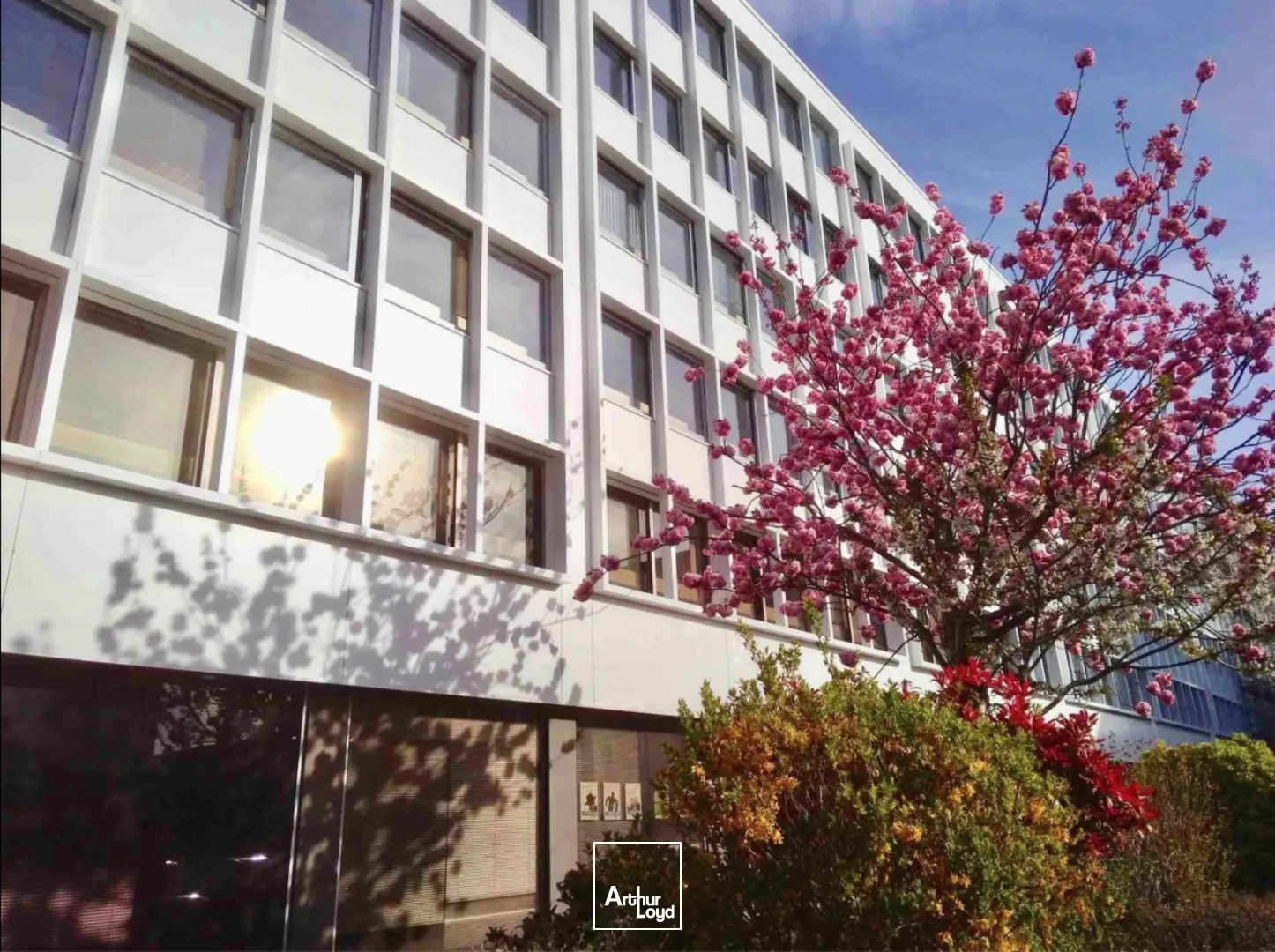 Bureaux - Location - LILLE - 59000 - 465-465 - 7581631