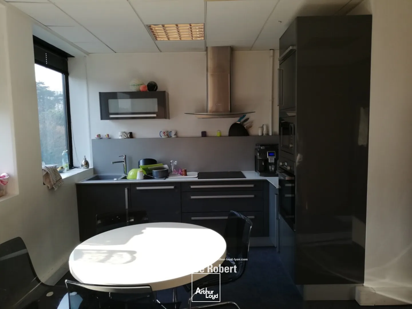 A vendre - LES NYMPHEAS - Bureaux lumineux - Lyon 9ème Vaise